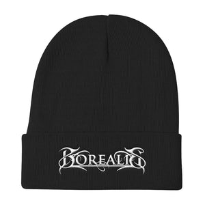 Borealis Knit Beanie - Borealis Metal